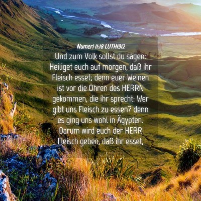 Picture 04 - Numeri 11:18 LUTH1912 - Und zum Volk sollst du sagen: Heiliget euch auf - Bible Verse Picture