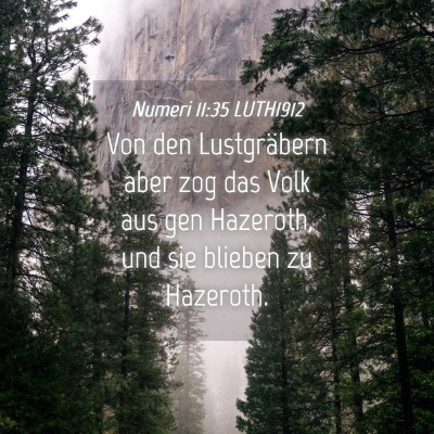 Picture 04 - Numeri 11:35 LUTH1912 - Von den Lustgräbern aber zog das Volk aus gen - Bible Verse Picture