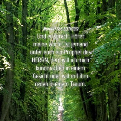 Picture 04 - Numeri 12:6 LUTH1912 - Und er sprach: Höret meine Worte: Ist jemand - Bible Verse Picture