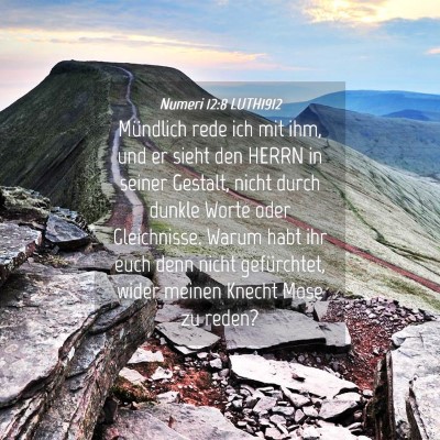 Picture 04 - Numeri 12:8 LUTH1912 - Mündlich rede ich mit ihm, und er sieht den - Bible Verse Picture