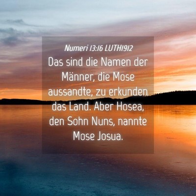 Picture 04 - Numeri 13:16 LUTH1912 - Das sind die Namen der Männer, die Mose - Bible Verse Picture