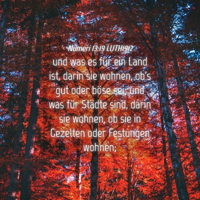 Picture 04 - Numeri 13:19 LUTH1912 - und was es für ein Land ist, darin sie wohnen, - Bible Verse Picture