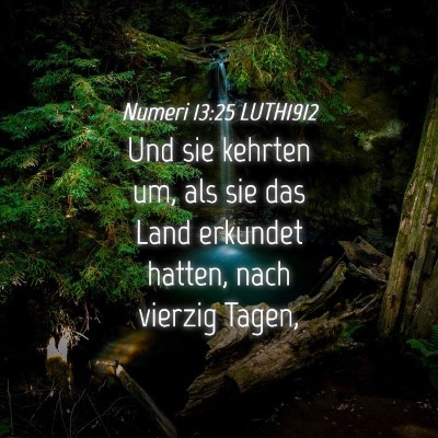 Picture 04 - Numeri 13:25 LUTH1912 - Und sie kehrten um, als sie das Land erkundet - Bible Verse Picture