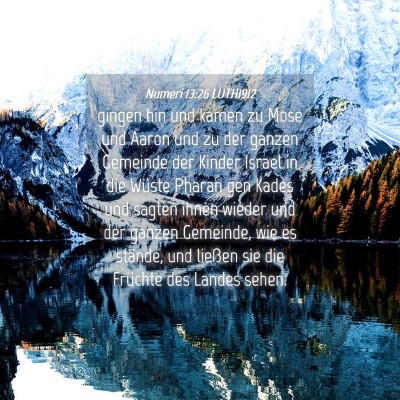 Picture 04 - Numeri 13:26 LUTH1912 - gingen hin und kamen zu Mose und Aaron und zu der - Bible Verse Picture
