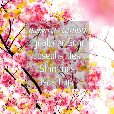 Picture 04 - Numeri 13:7 LUTH1912 - Jigeal, der Sohn Josephs, des Stammes - Bible Verse Picture