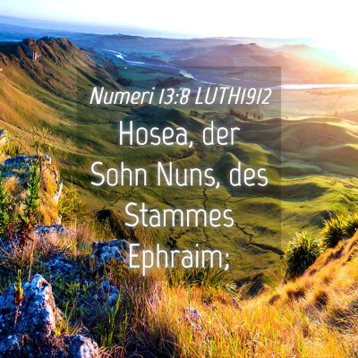 Picture 04 - Numeri 13:8 LUTH1912 - Hosea, der Sohn Nuns, des Stammes - Bible Verse Picture