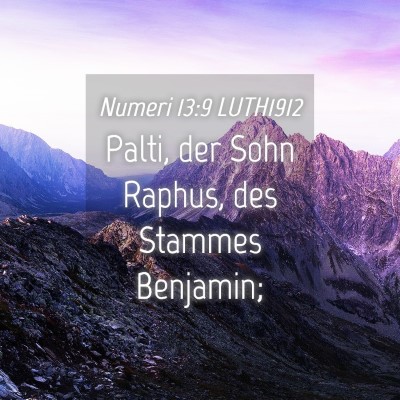 Picture 04 - Numeri 13:9 LUTH1912 - Palti, der Sohn Raphus, des Stammes - Bible Verse Picture