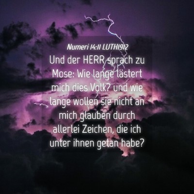 Picture 04 - Numeri 14:11 LUTH1912 - Und der HERR sprach zu Mose: Wie lange lästert - Bible Verse Picture