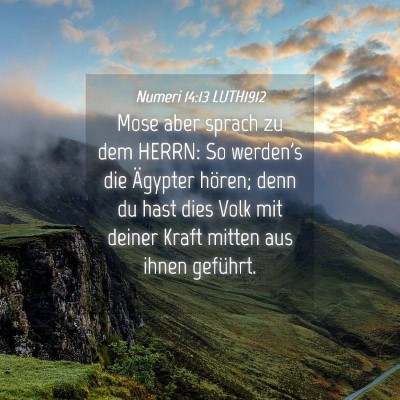 Picture 04 - Numeri 14:13 LUTH1912 - Mose aber sprach zu dem HERRN: So werden's die - Bible Verse Picture