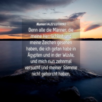 Picture 04 - Numeri 14:22 LUTH1912 - Denn alle die Männer, die meine Herrlichkeit und - Bible Verse Picture