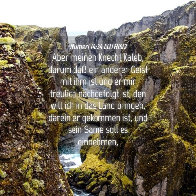 Picture 04 - Numeri 14:24 LUTH1912 - Aber meinen Knecht Kaleb, darum daß ein anderer - Bible Verse Picture