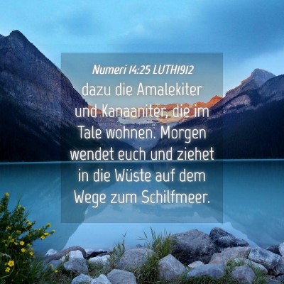 Picture 04 - Numeri 14:25 LUTH1912 - dazu die Amalekiter und Kanaaniter, die im Tale - Bible Verse Picture