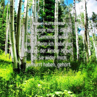 Picture 04 - Numeri 14:27 LUTH1912 - Wie lange murrt diese böse Gemeinde wider mich? - Bible Verse Picture