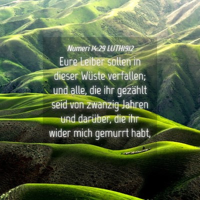 Picture 04 - Numeri 14:29 LUTH1912 - Eure Leiber sollen in dieser Wüste verfallen; - Bible Verse Picture