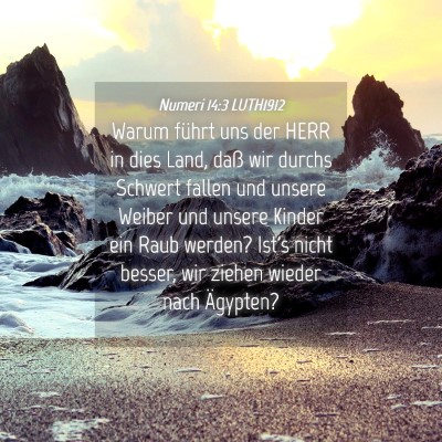 Picture 04 - Numeri 14:3 LUTH1912 - Warum führt uns der HERR in dies Land, daß wir - Bible Verse Picture