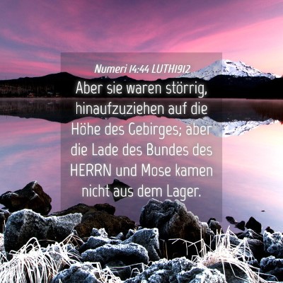 Picture 04 - Numeri 14:44 LUTH1912 - Aber sie waren störrig, hinaufzuziehen auf die - Bible Verse Picture