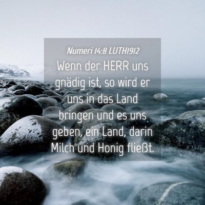 Picture 04 - Numeri 14:8 LUTH1912 - Wenn der HERR uns gnädig ist, so wird er uns in - Bible Verse Picture