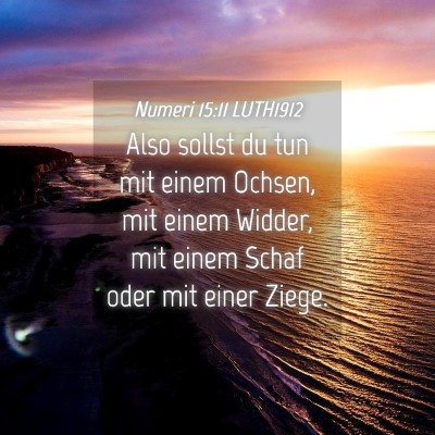 Picture 04 - Numeri 15:11 LUTH1912 - Also sollst du tun mit einem Ochsen, mit einem - Bible Verse Picture