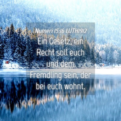 Picture 04 - Numeri 15:16 LUTH1912 - Ein Gesetz, ein Recht soll euch und dem Fremdling - Bible Verse Picture