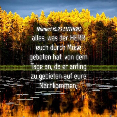 Picture 04 - Numeri 15:23 LUTH1912 - alles, was der HERR euch durch Mose geboten hat, - Bible Verse Picture