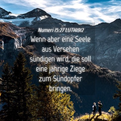 Picture 04 - Numeri 15:27 LUTH1912 - Wenn aber eine Seele aus Versehen sündigen wird, - Bible Verse Picture