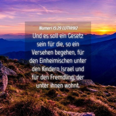 Picture 04 - Numeri 15:29 LUTH1912 - Und es soll ein Gesetz sein für die, so ein - Bible Verse Picture