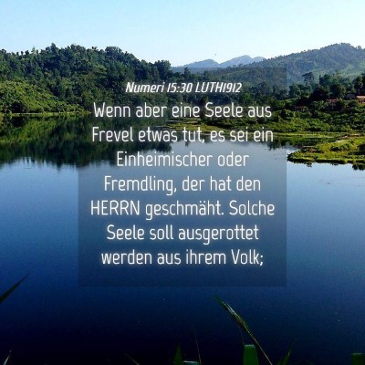 Picture 04 - Numeri 15:30 LUTH1912 - Wenn aber eine Seele aus Frevel etwas tut, es sei - Bible Verse Picture