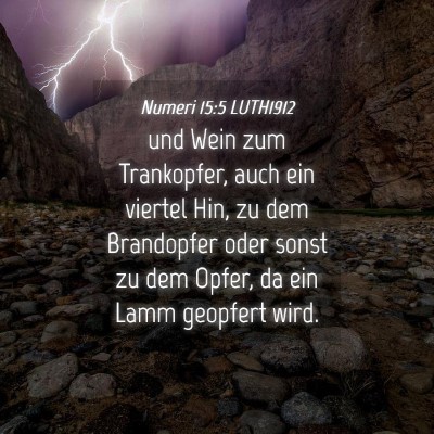 Picture 04 - Numeri 15:5 LUTH1912 - und Wein zum Trankopfer, auch ein viertel Hin, zu - Bible Verse Picture
