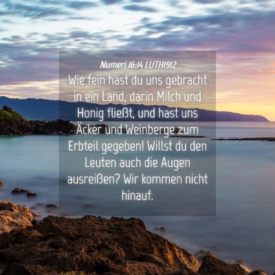Picture 04 - Numeri 16:14 LUTH1912 - Wie fein hast du uns gebracht in ein Land, darin - Bible Verse Picture