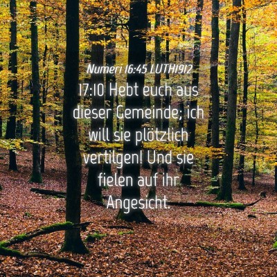 Picture 04 - Numeri 16:45 LUTH1912 - 17:10 Hebt euch aus dieser Gemeinde; ich will sie - Bible Verse Picture