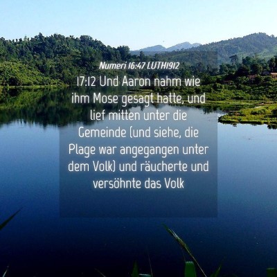 Picture 04 - Numeri 16:47 LUTH1912 - 17:12 Und Aaron nahm wie ihm Mose gesagt hatte, - Bible Verse Picture