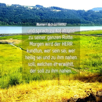 Picture 04 - Numeri 16:5 LUTH1912 - und sprach zu Korah und zu seiner ganzen Rotte: - Bible Verse Picture