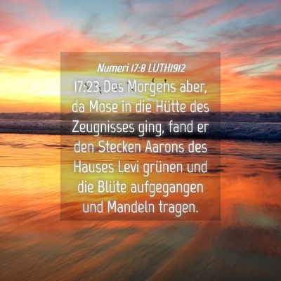 Picture 04 - Numeri 17:8 LUTH1912 - 17:23 Des Morgens aber, da Mose in die Hütte des - Bible Verse Picture