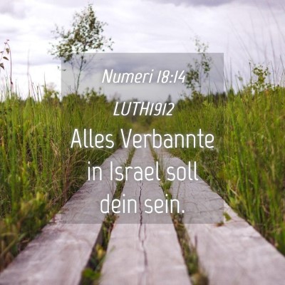 Picture 04 - Numeri 18:14 LUTH1912 - Alles Verbannte in Israel soll dein - Bible Verse Picture