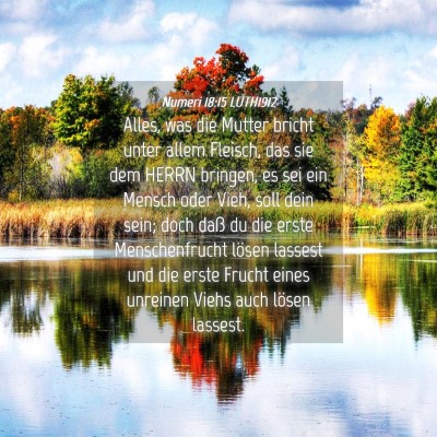 Picture 04 - Numeri 18:15 LUTH1912 - Alles, was die Mutter bricht unter allem Fleisch, - Bible Verse Picture