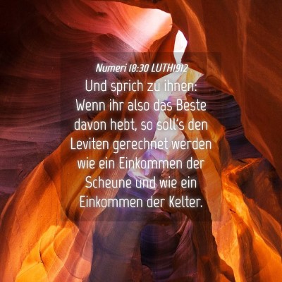 Picture 04 - Numeri 18:30 LUTH1912 - Und sprich zu ihnen: Wenn ihr also das Beste - Bible Verse Picture
