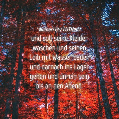 Picture 04 - Numeri 19:7 LUTH1912 - und soll seine Kleider waschen und seinen Leib - Bible Verse Picture