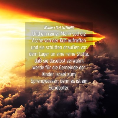 Picture 04 - Numeri 19:9 LUTH1912 - Und ein reiner Mann soll die Asche von der Kuh - Bible Verse Picture