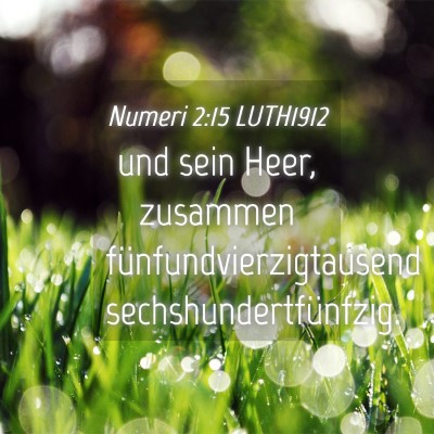 Picture 04 - Numeri 2:15 LUTH1912 - und sein Heer, zusammen fünfundvierzigtausend - Bible Verse Picture