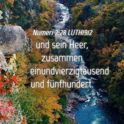 Picture 04 - Numeri 2:28 LUTH1912 - und sein Heer, zusammen einundvierzigtausend und - Bible Verse Picture