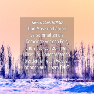 Picture 04 - Numeri 20:10 LUTH1912 - Und Mose und Aaron versammelten die Gemeinde vor - Bible Verse Picture