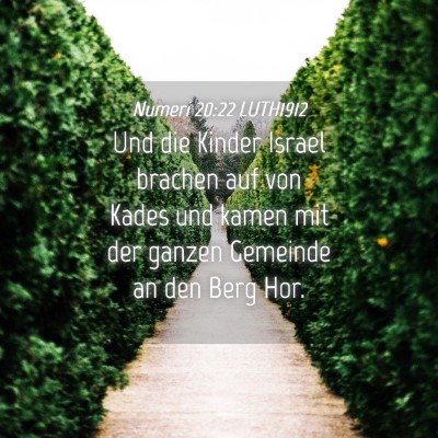 Picture 04 - Numeri 20:22 LUTH1912 - Und die Kinder Israel brachen auf von Kades und - Bible Verse Picture