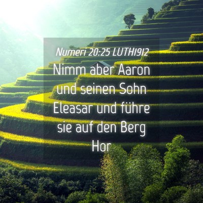 Picture 04 - Numeri 20:25 LUTH1912 - Nimm aber Aaron und seinen Sohn Eleasar und - Bible Verse Picture