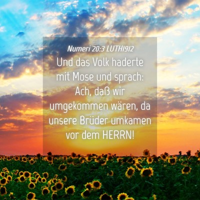 Picture 04 - Numeri 20:3 LUTH1912 - Und das Volk haderte mit Mose und sprach: Ach, - Bible Verse Picture