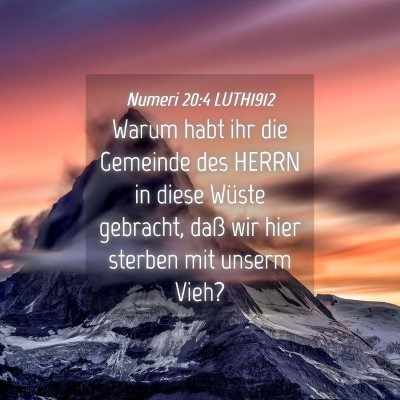 Picture 04 - Numeri 20:4 LUTH1912 - Warum habt ihr die Gemeinde des HERRN in diese - Bible Verse Picture