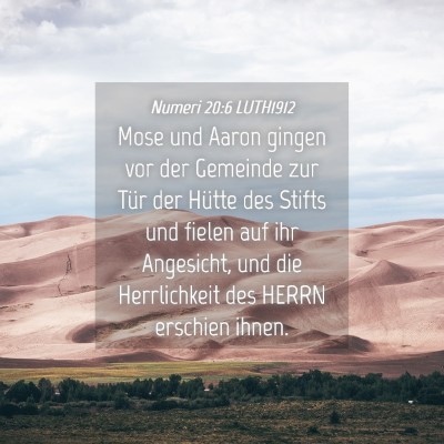 Picture 04 - Numeri 20:6 LUTH1912 - Mose und Aaron gingen vor der Gemeinde zur Tür - Bible Verse Picture