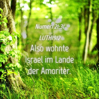 Picture 04 - Numeri 21:31 LUTH1912 - Also wohnte Israel im Lande der - Bible Verse Picture