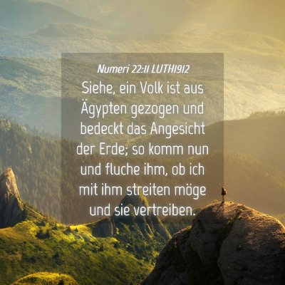 Picture 04 - Numeri 22:11 LUTH1912 - Siehe, ein Volk ist aus Ägypten gezogen und - Bible Verse Picture