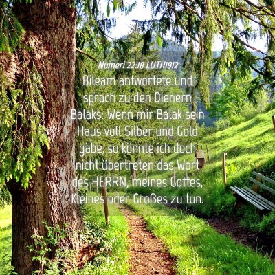 Picture 04 - Numeri 22:18 LUTH1912 - Bileam antwortete und sprach zu den Dienern - Bible Verse Picture
