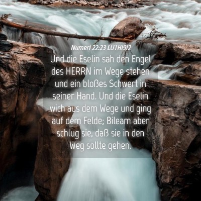 Picture 04 - Numeri 22:23 LUTH1912 - Und die Eselin sah den Engel des HERRN im Wege - Bible Verse Picture